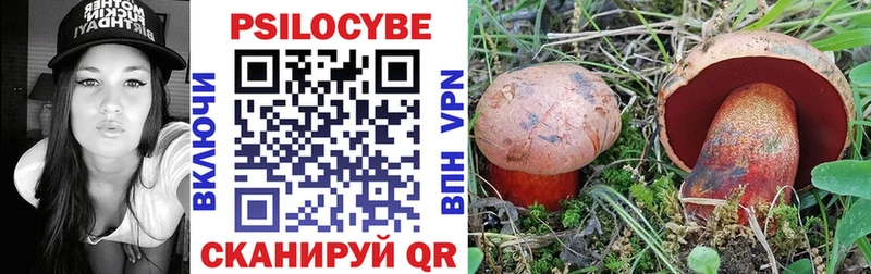 Псилоцибиновые грибы Cubensis  Купить  Лихославль 